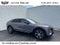 2024 Cadillac LYRIQ Luxury 2