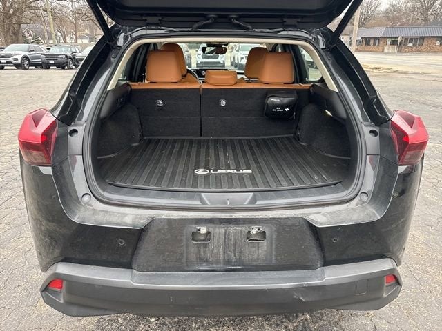 2020 Lexus UX UX 250h