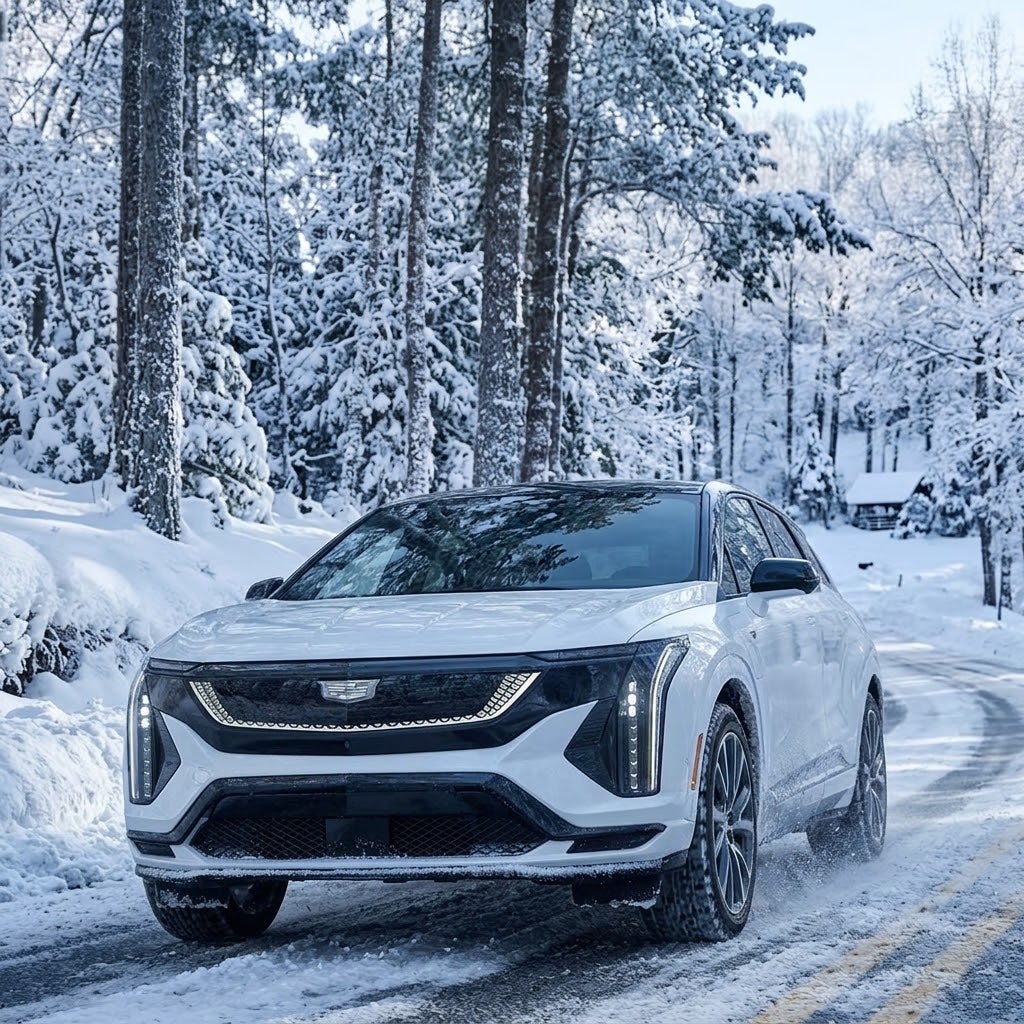 CADILLAC IN WINTER